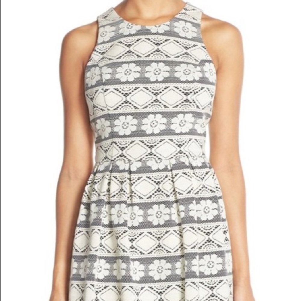 Beautiful Fit and Flare Lace Cocktail Dress - Black & White